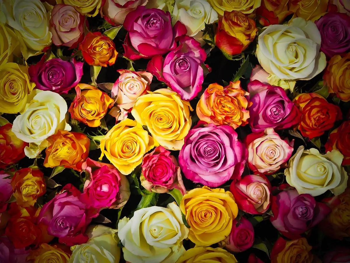 How to Choose the Right Bouquet for Every Occasion: A British Florist's Guide